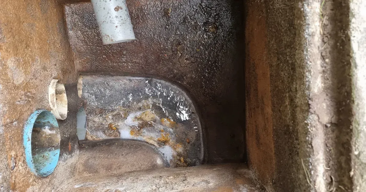Sifón de alcantarillado obstruido con grasa y aceite de cocina solidificado