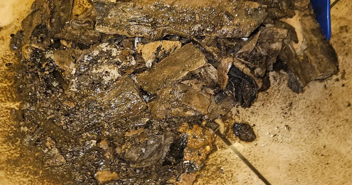 Residuo y lodo extraído de un shaft de basura durante la limpieza