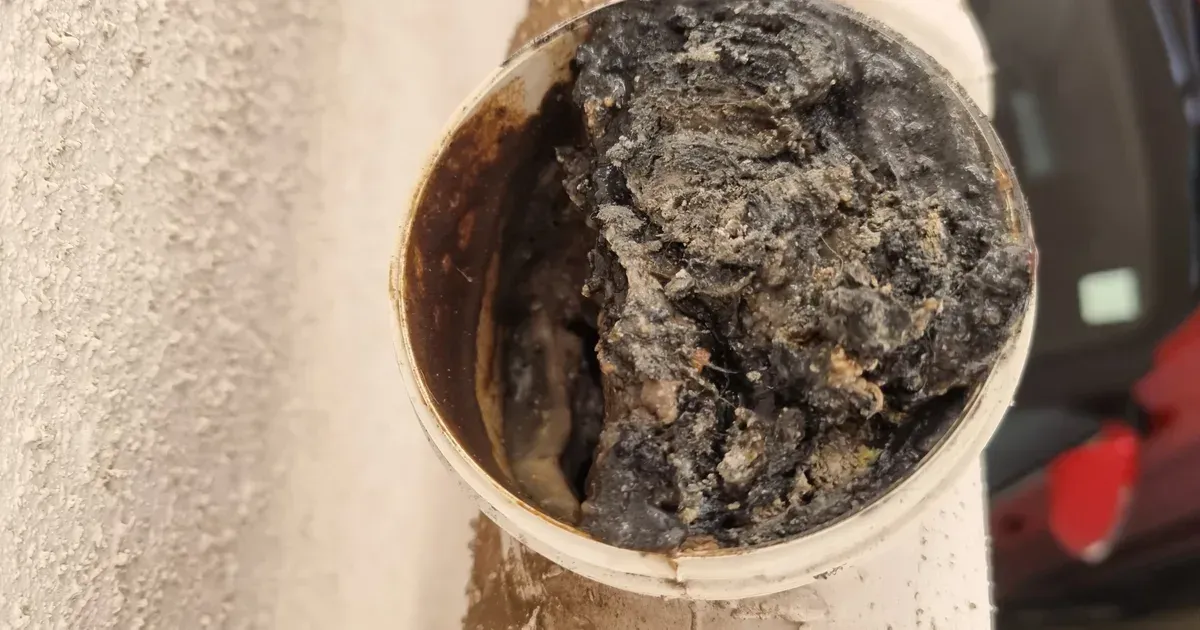 Cámara de alcantarillado con acumulación de grasa y residuos insalubres