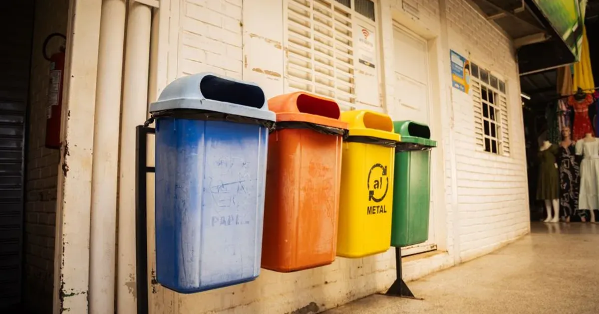 Contenedores de basura y reciclaje ordenados en un edificio